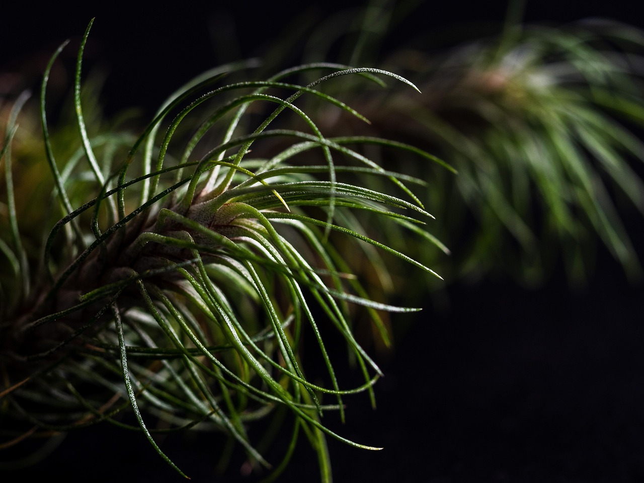 DDOS攻击测试|详情下载教程社区任务app详情下载教程