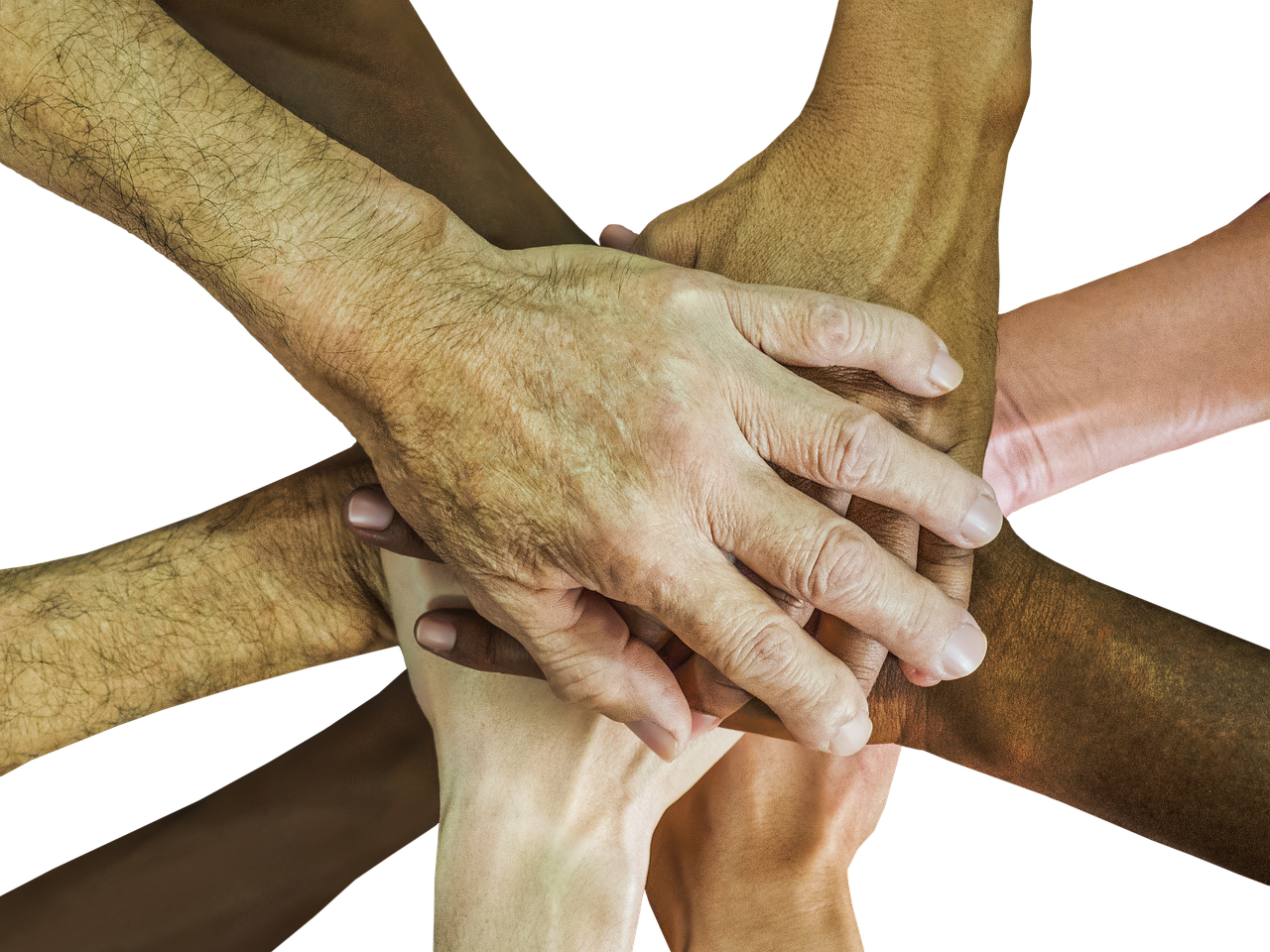 西部数码实名账号:实名认证如何推行教育行业信息化