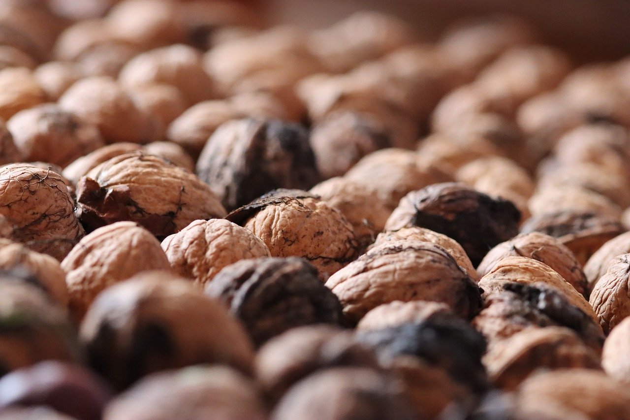 安信天眼app详情下载教程