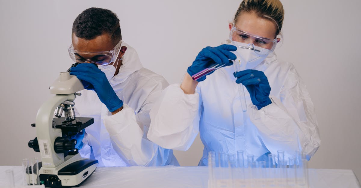 黑标七星：舟山嵊泗注册代理公司