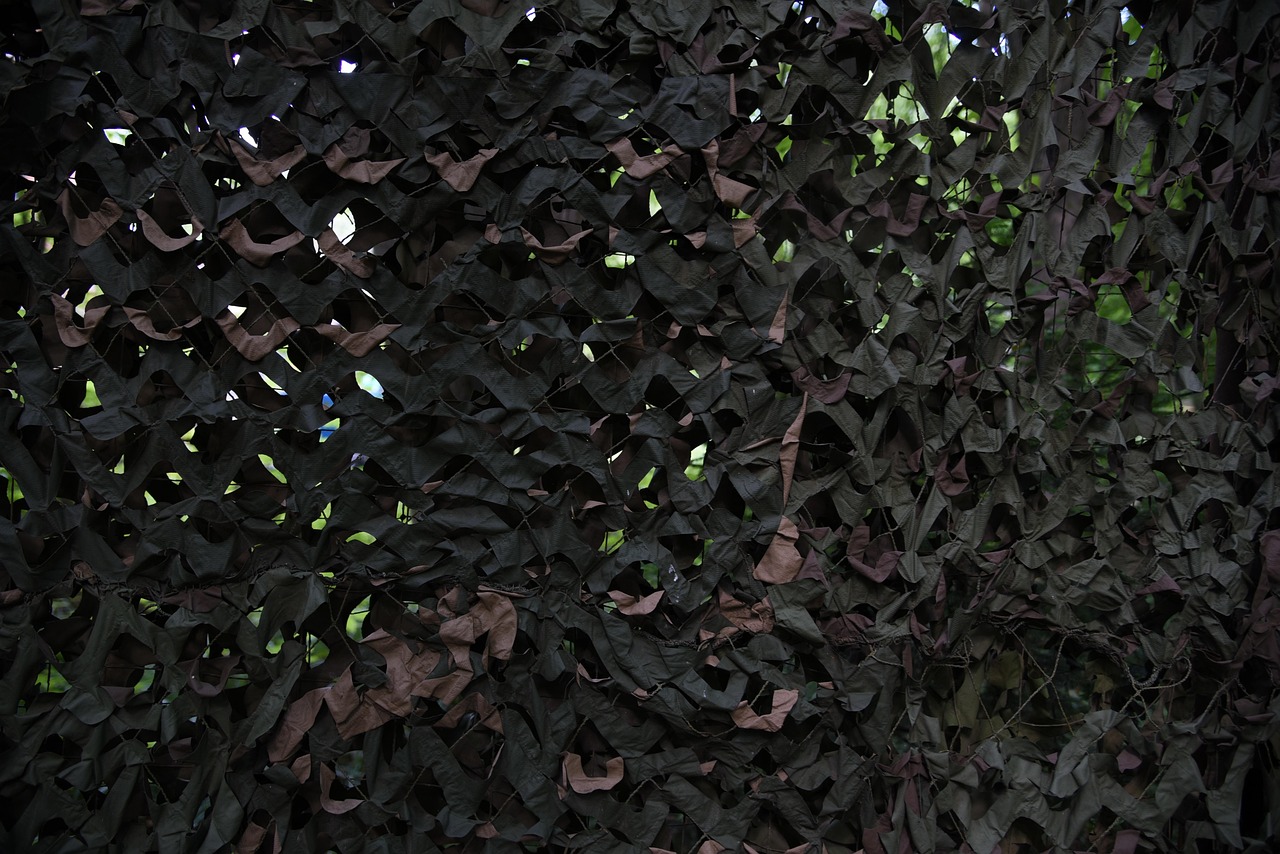 信时空实名账号：vnp账号怎么注册