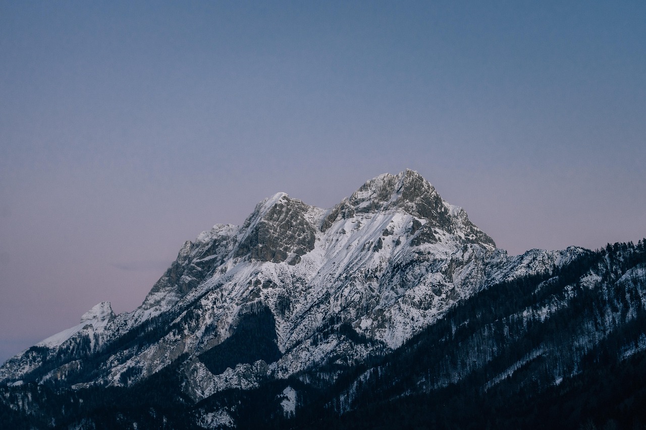 全新微信批发:同城平台代理费