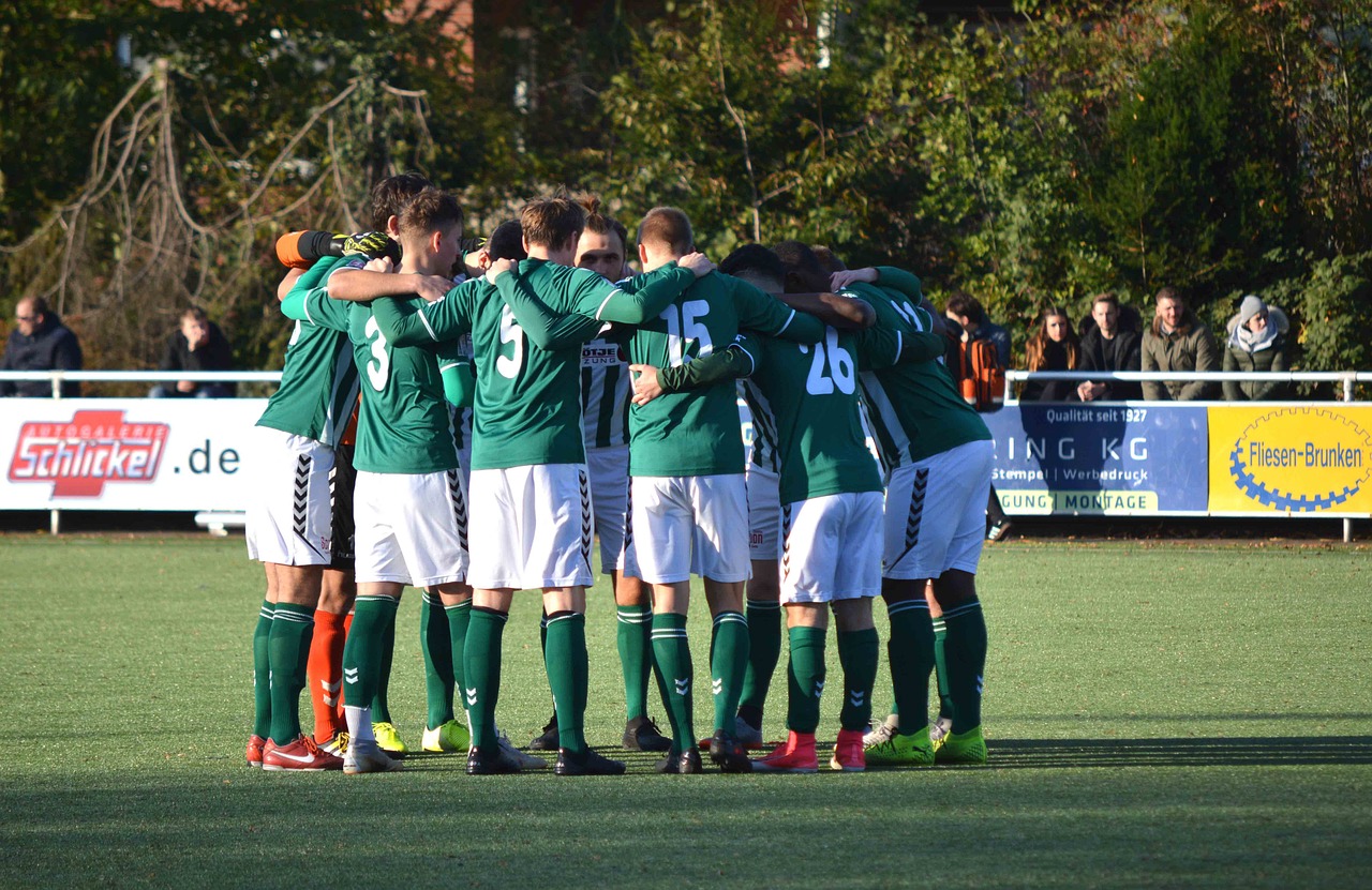 DDOS网页端平台|淘宝优惠代理平台