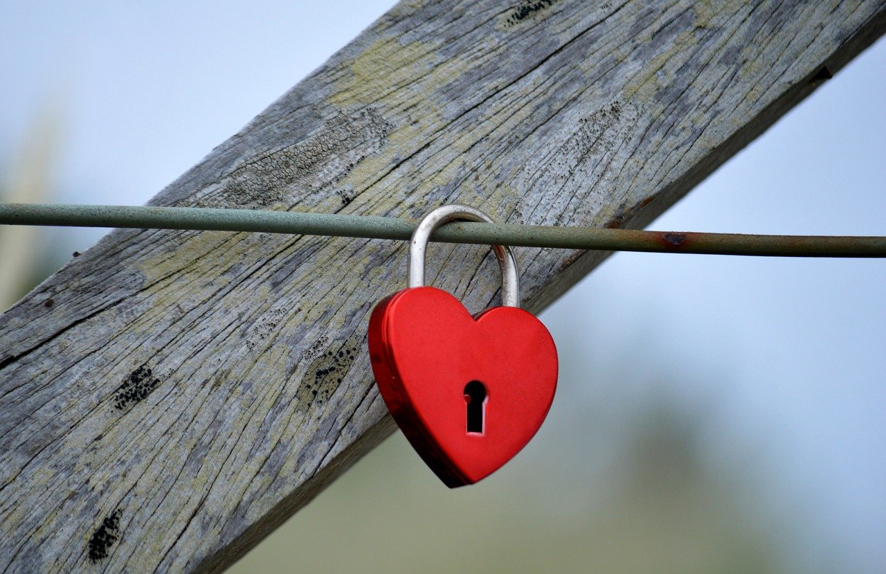 全新微信买卖:平台购买狗狗