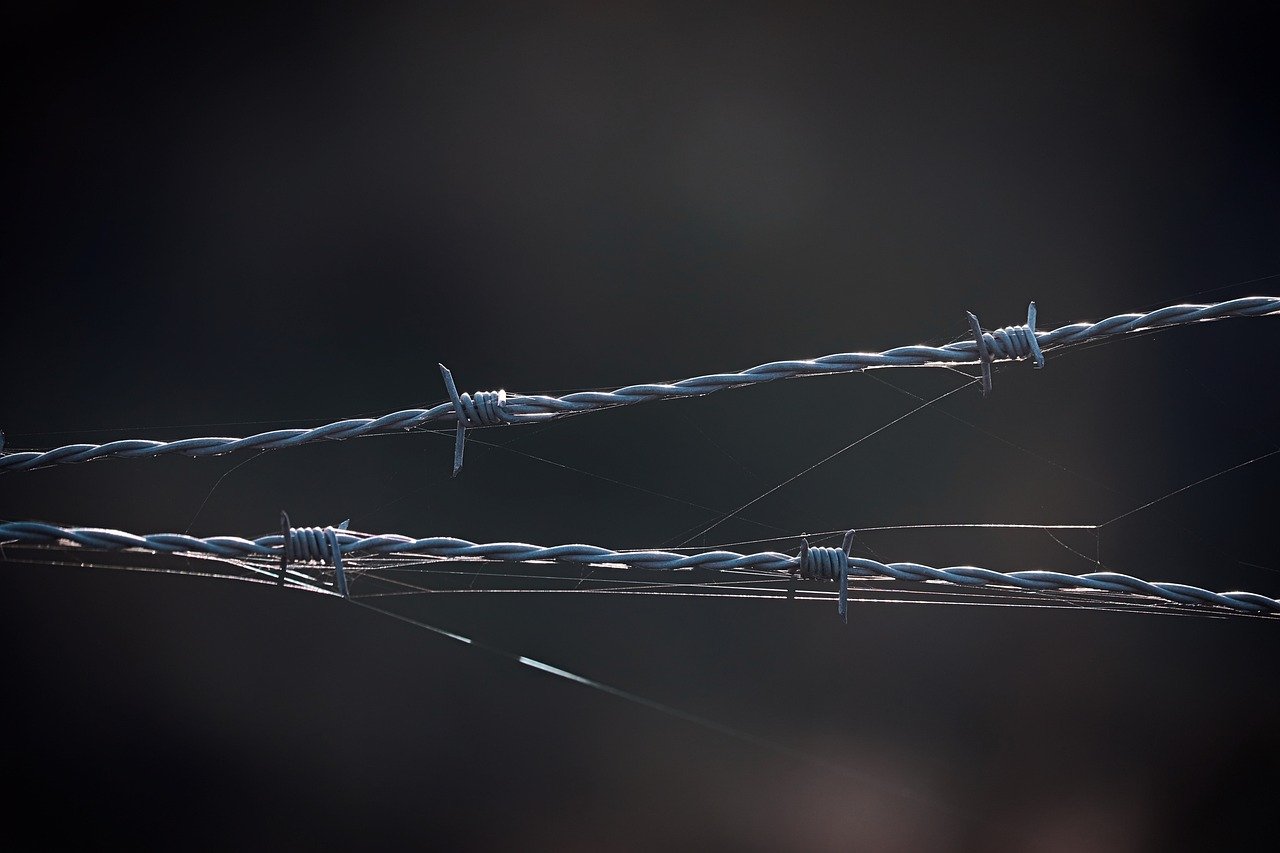 移动8元日租卡介绍- 陕西注册知识产权代理